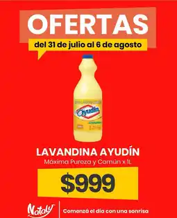 Super Nataly Ayudín lavandina oferta