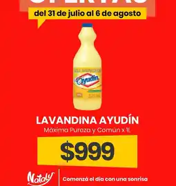 Super Nataly Ayudín lavandina oferta