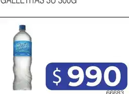 Masivos Sierra de los Andes galletitas oferta
