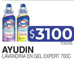 Masivos Ayudin lavandina en gel expert 700c oferta