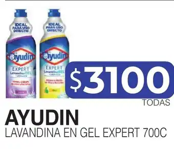 Masivos Ayudin lavandina en gel expert 700c oferta
