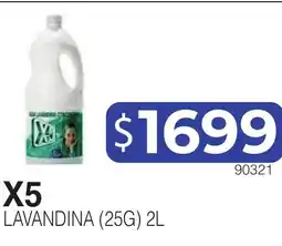 Masivos X5 lavandina oferta
