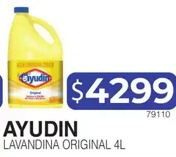 Masivos Ayudin lavandina original oferta