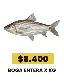Autoservicio Capo Boga entera oferta
