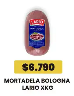 Autoservicio Capo Lario mortadela bologna oferta
