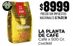 Diarco Cabrales la planta de café oferta