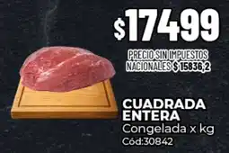 Diarco Cuadrada entera oferta