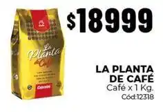 Diarco La planta de café - café x 1 kg oferta