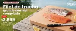 Coto Filet de trucha grande con piel congelada oferta