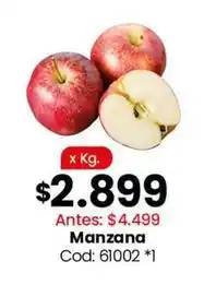 Coto Manzana cod: 61002 oferta