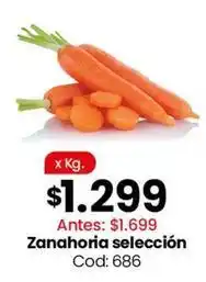 Coto Zanahoria seleccion cod: 686 oferta