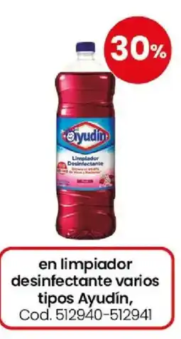 Coto Ayudín limpiador desinfectante varios tipos oferta