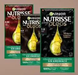Coto Garnier nutrisse oleos oferta