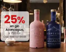 Coto Aconcagua gin oferta