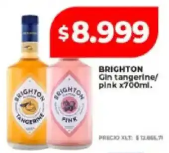 Supermayorista Vital Brighton gin tangerine/pink oferta