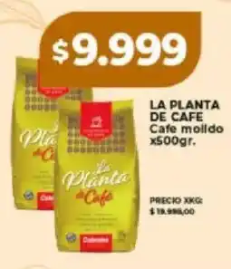 Supermayorista Vital La planta de cafe oferta