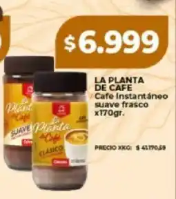 Supermayorista Vital La planta de cafe cafe instantaneo suave oferta