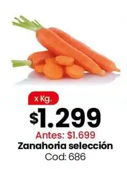 Coto Zanahoria selección oferta