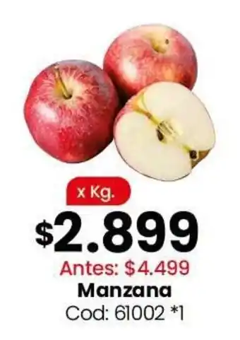 Coto Manzana oferta