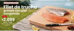 Coto Filet de trucha grande con piel congelada oferta