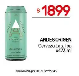 Nini Mayorista Andes origen cerveza lata ipa oferta