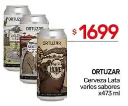 Nini Mayorista Ortuzar cerveza lata varios sabores oferta