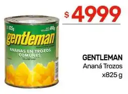 Nini Mayorista Gentleman ananá trozos oferta