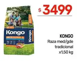Nini Mayorista Kongo raza med/gde tradicional oferta