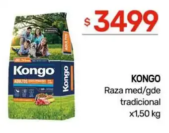 Nini Mayorista Kongo raza med/gde tradicional oferta
