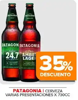 Carrefour Maxi Patagonia/ cerveza varias presentaciones oferta