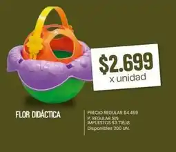 Supermercados Vea Flor didáctica oferta