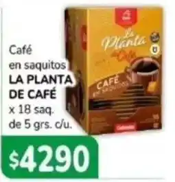 El Solar Supermercados La planta café en saquitos oferta