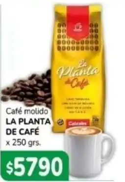 El Solar Supermercados La planta de café café molido oferta