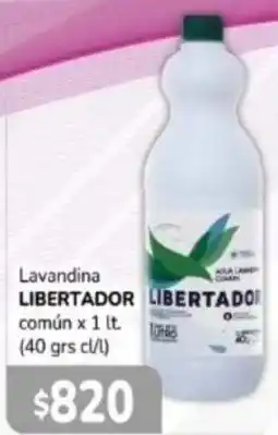 El Solar Supermercados Libertador lavandina común oferta