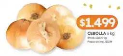 Cordiez Cebolla oferta