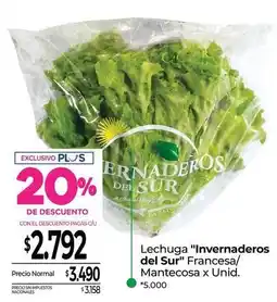 La Anonima Lechuga francesa/mantecosax oferta