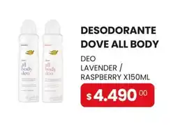 Piantoni Supermayorista Dove desodorante all body deo oferta