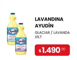 Piantoni Supermayorista Ayudín lavandina glacial / lavanda xilt oferta