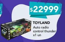 Nini Mayorista Toyland auto radio control thunder oferta