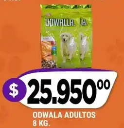 Supermercados Mayor Odwala adultos oferta