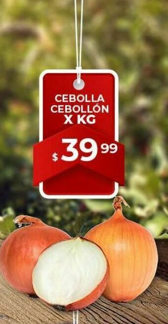 Makro Cebolla x kg oferta
