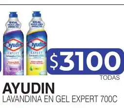 Masivos Ayudin lavandina en gel expert 700c oferta