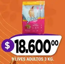 Supermercados Mayor 9 lives adultos oferta