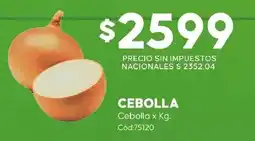 Diarco Cebolla oferta