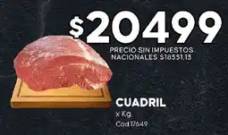 Diarco cuadril oferta