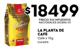 Diarco La planta de café café oferta