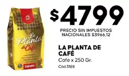 Diarco La planta de café oferta