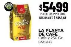 Diarco La planta de café - café x 250 gr. cód:3188 oferta
