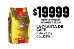 Diarco La planta de café - café x 1 kg. cód:12318 oferta