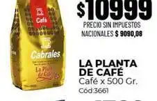 Diarco Cabrales - café x 500 gr. cód:3661 oferta